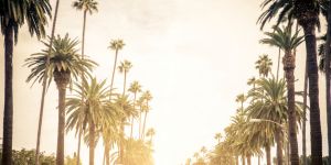 Se loger à Los Angeles