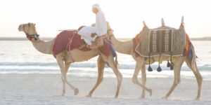 Lifestyle in Saudi Arabia