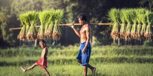 Work formalities and conditions in Cambodia