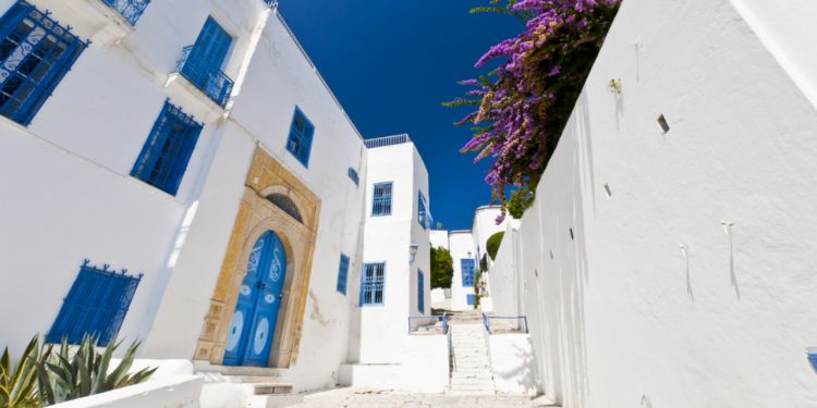 biens immobilier en Tunisie