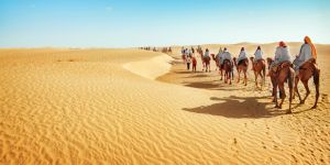 Les moyens de transport en Tunisie