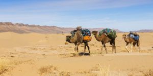 Déménager en Tunisie