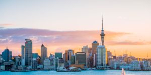 Studying in Auckland