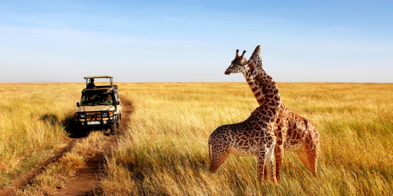 living in Tanzania