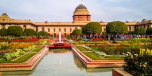Internships in India