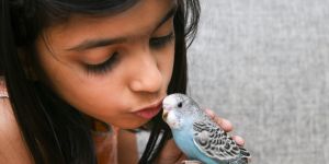 Moving with your pet to India