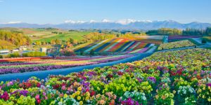 Travailler à Hokkaido