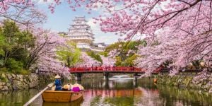 Faire un stage au Japon