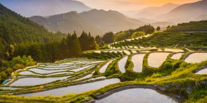 Les choses à voir et à faire au Japon