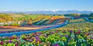 Finding a job in Hokkaido