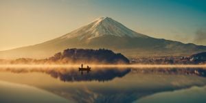 The Japanese labour market