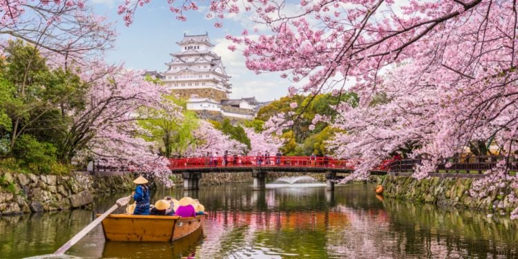 Internships in Japan