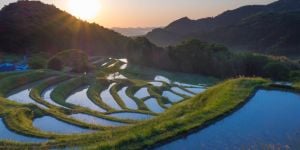 Finding a job in Chiba