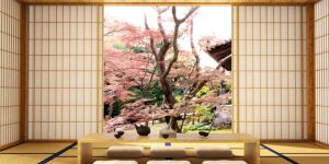 Accommodation in Japan