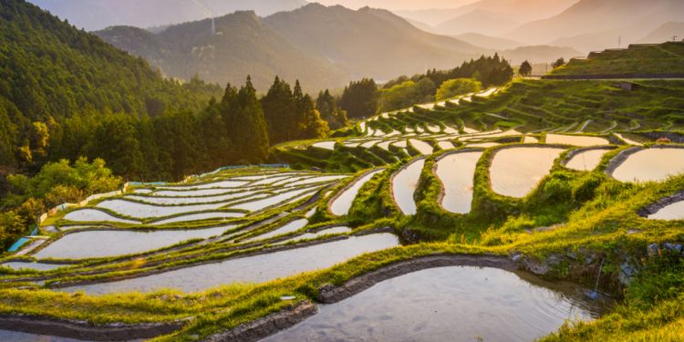 leisure in Japan