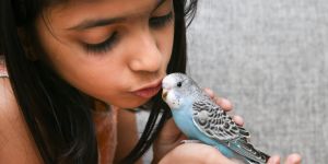 Déménager en Inde avec un animal de compagnie