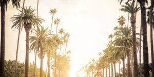 Alojamiento en Los Ángeles