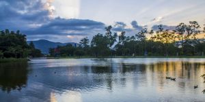 Things to do in San José