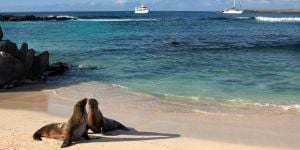 Estilo de vida ecuatoriano: Ama la vida