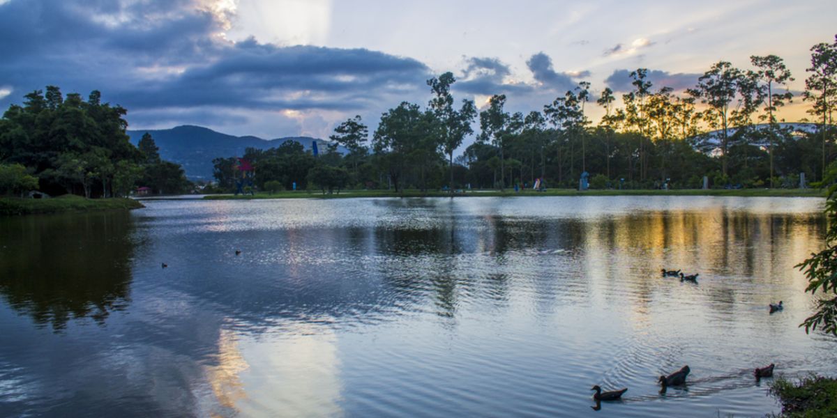 parc et lac a San Jose
