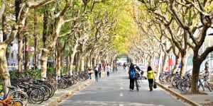 Student life in Shanghai