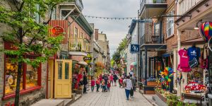 S'adapter à la culture montréalaise