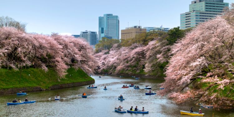 activities in Tokyo