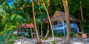 Accommodation in Male