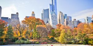 Leisure activities in New York City