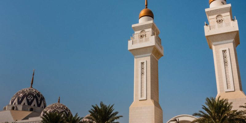 UniversitÃ© a Riyad