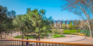 Les activités sportives à Madrid