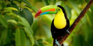 Visados y entrada a Costa Rica para estancias cortas