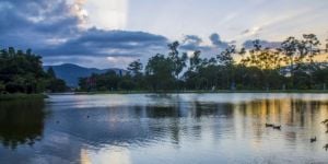 Qué hacer en San José: ocio, cultura y vida social