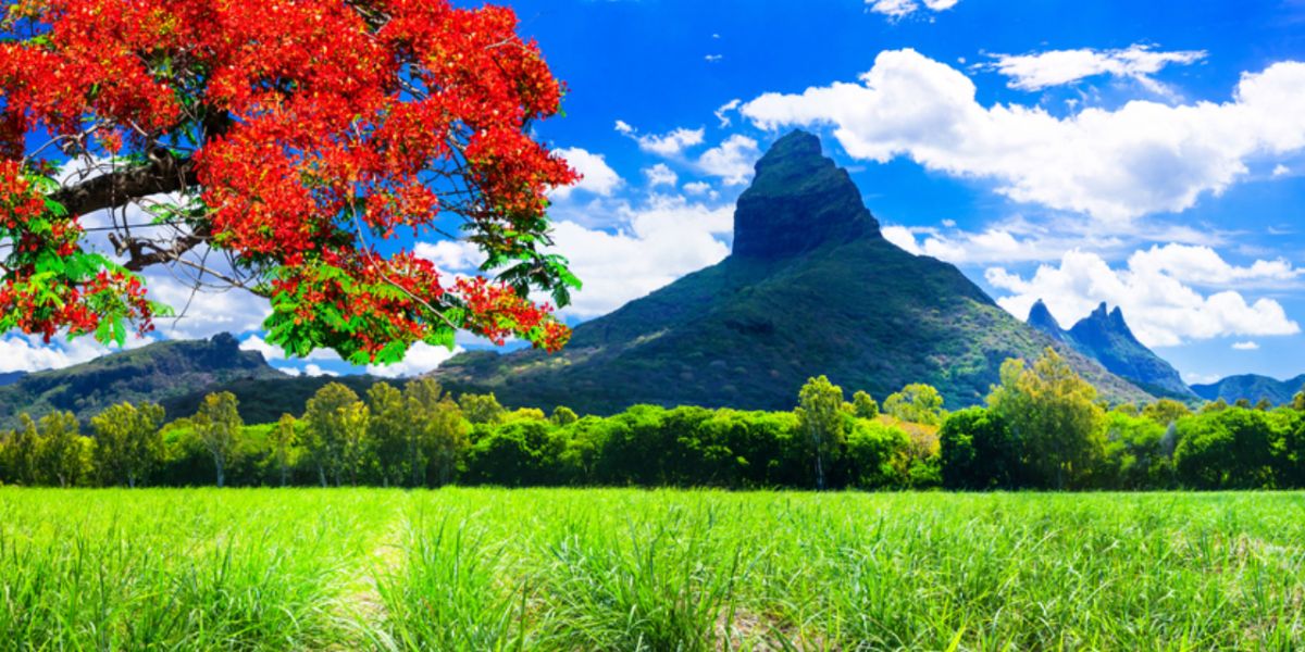 climate in mauritius