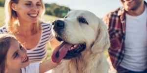 Partir avec son animal de compagnie à l'île Maurice