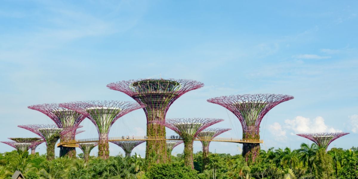 The climate in Singapore