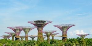 The climate in Singapore