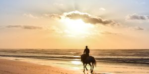 Leisure activities in Casablanca