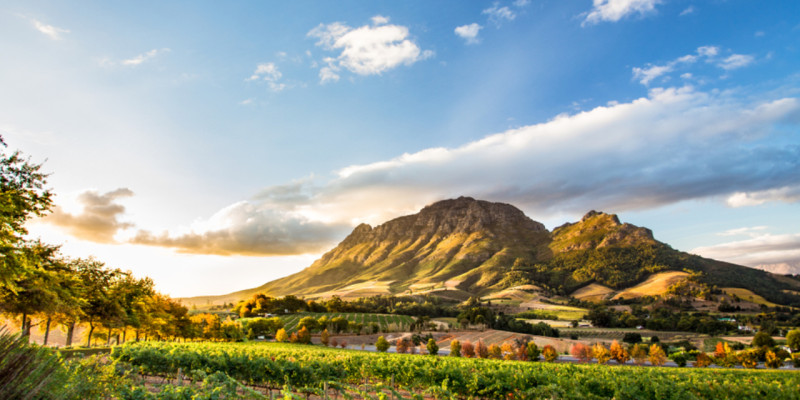 Work in South Africa