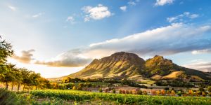 Working in South Africa