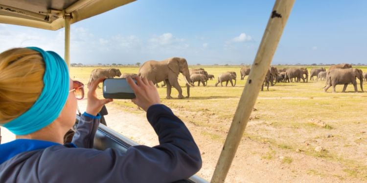 Leisure in South Africa