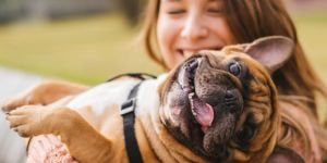 Travelling to South Africa with your pet