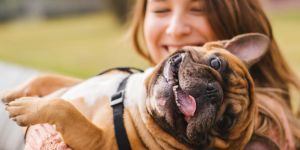 Travelling to South Africa with your pet