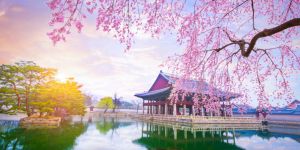 Les loisirs à Séoul en semaine