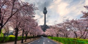 Trouver un emploi à Daegu