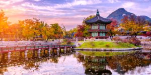 Working in South Korea