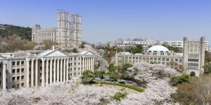 Study in South Korea