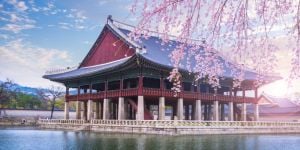 Leisure activities in South Korea