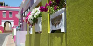 Ce qu'il faut savoir sur les codes culturels sud africains