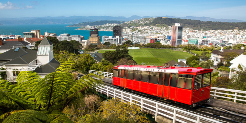 Finding work in Wellington